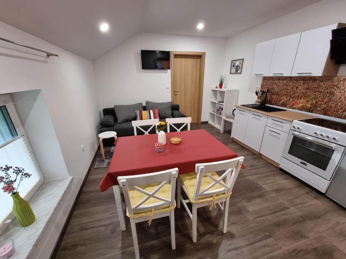 Apartmaji Ribic Ljubno Екстериор снимка
