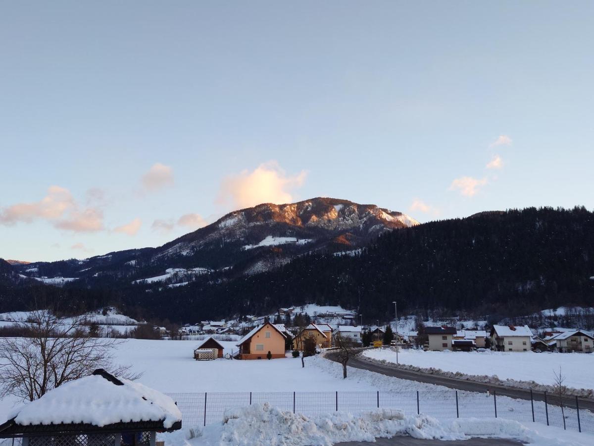 Apartmaji Ribic Ljubno Екстериор снимка