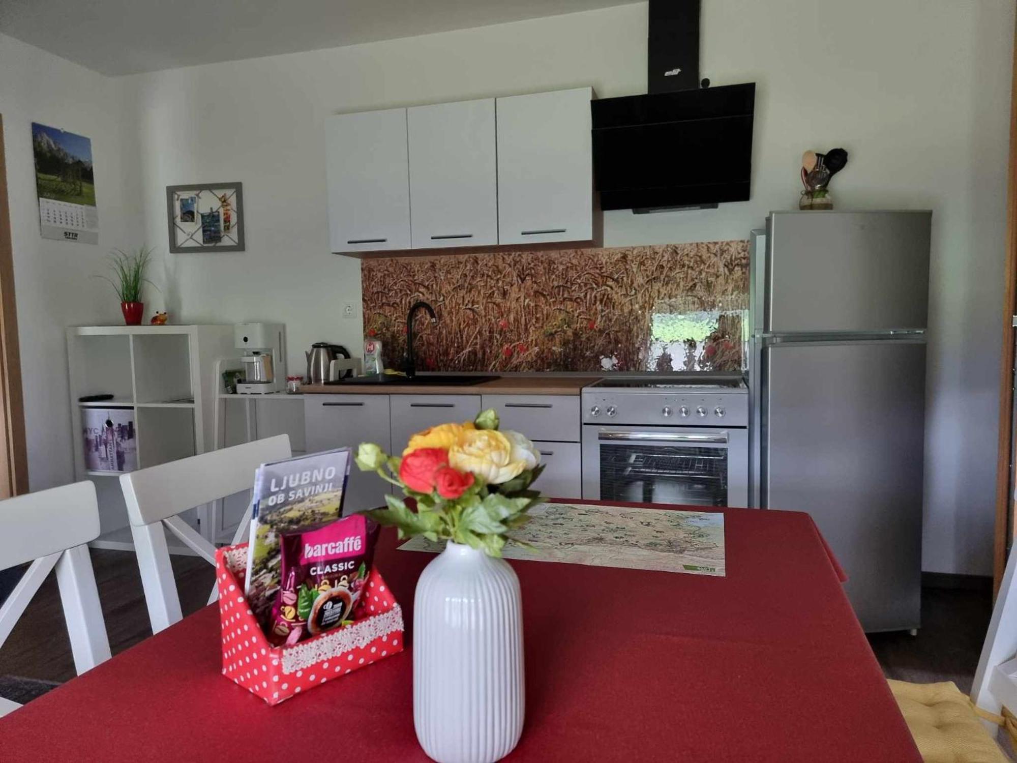 Apartmaji Ribic Ljubno Екстериор снимка